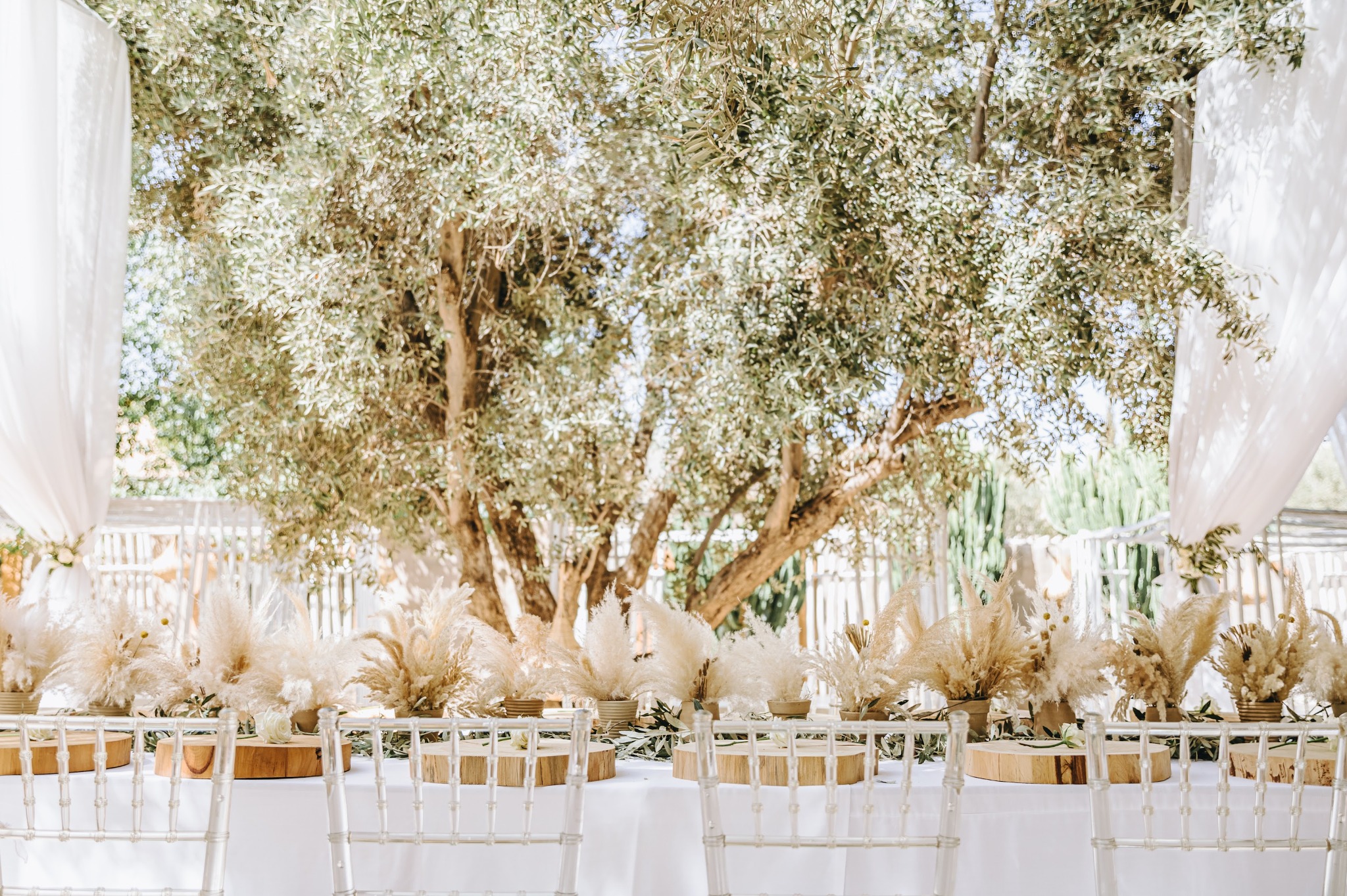 Wedding décor beneath olive trees in Marrakech